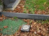 image of grave number 186113